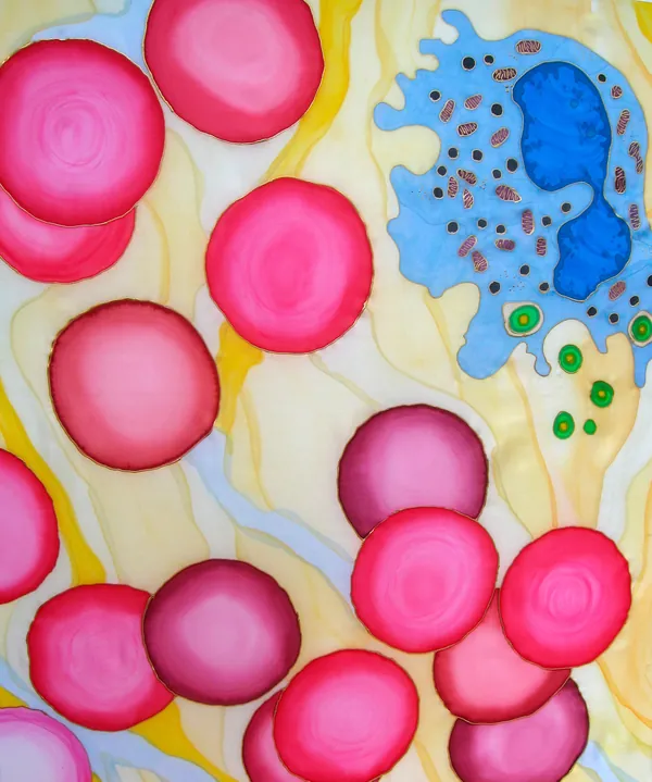 Round magenta red blood cells drifting past a blue white blood cell on a pale yellow background